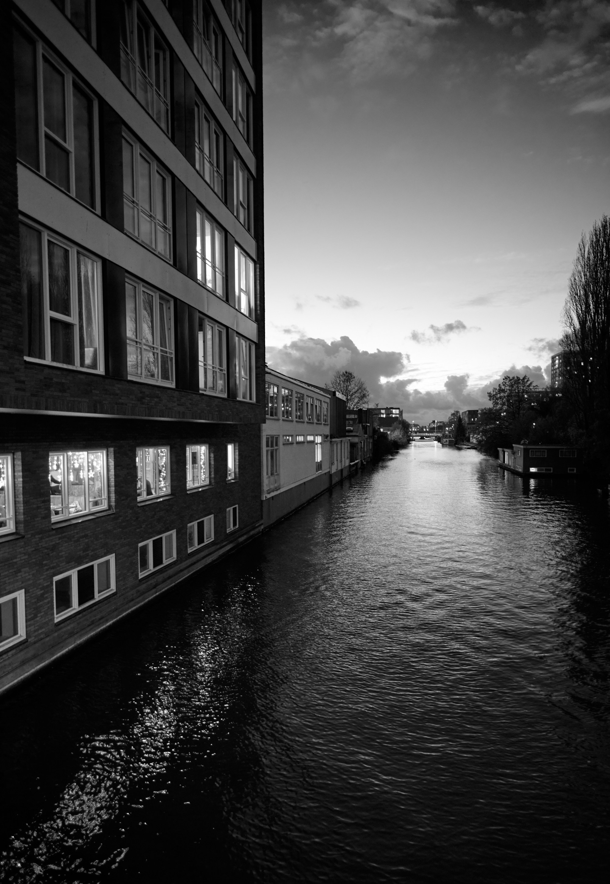 Canal entre un bloque de viviendas y una fila de árboles, al atardecer.